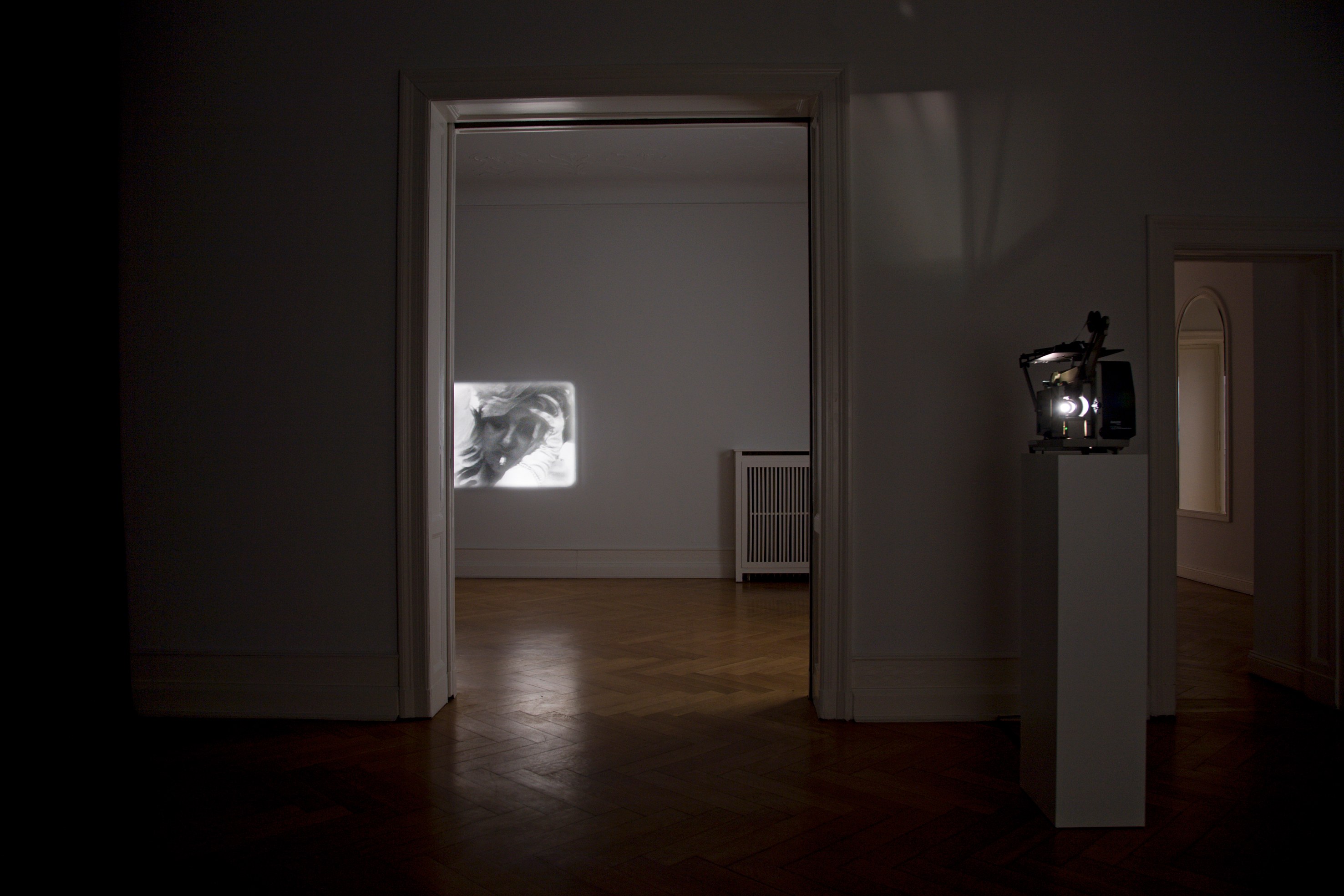 Tony Conrad, Re-Framing Creatures at Galerie Buchholz, Berlin, photo 12