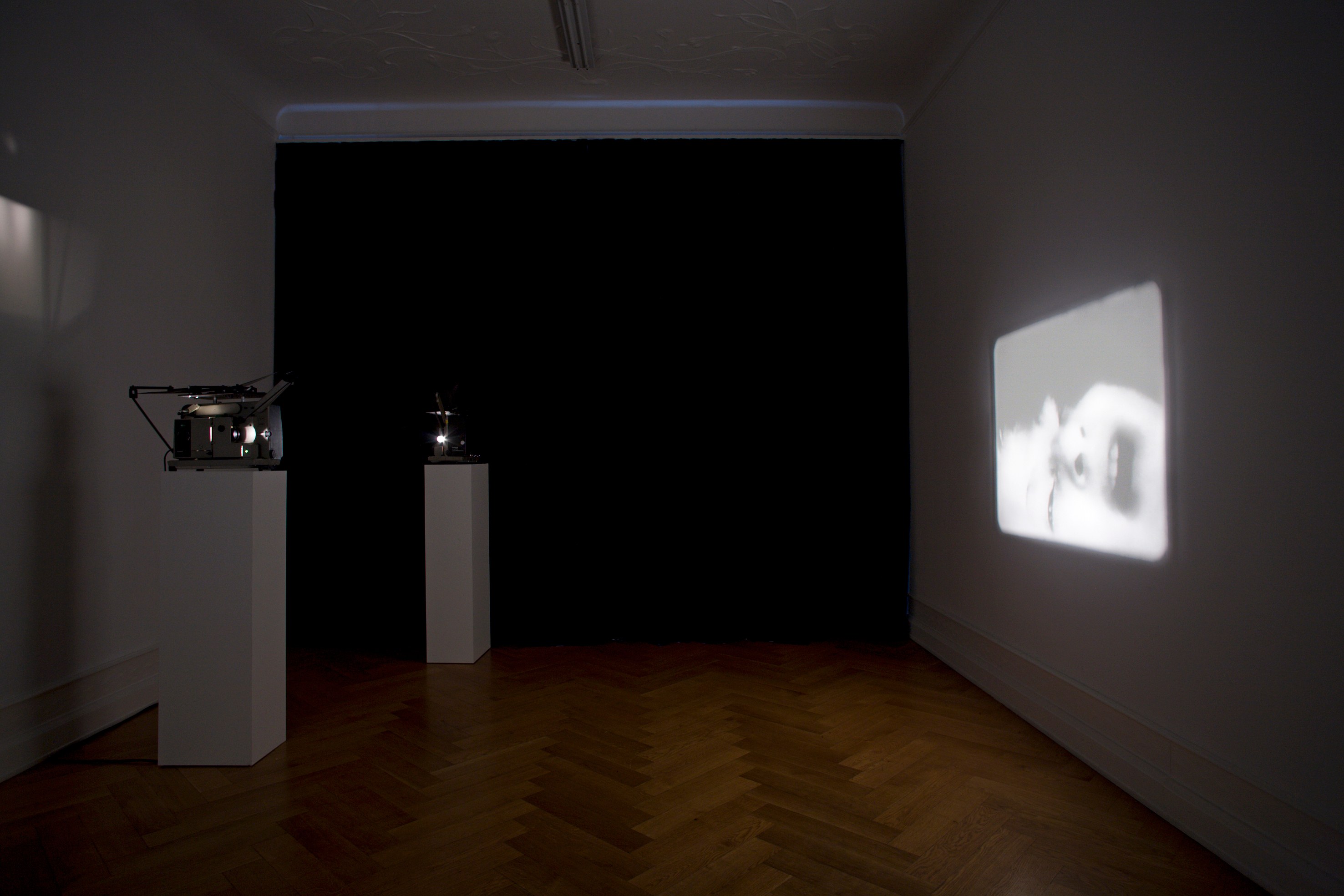 Tony Conrad, Re-Framing Creatures at Galerie Buchholz, Berlin, photo 14
