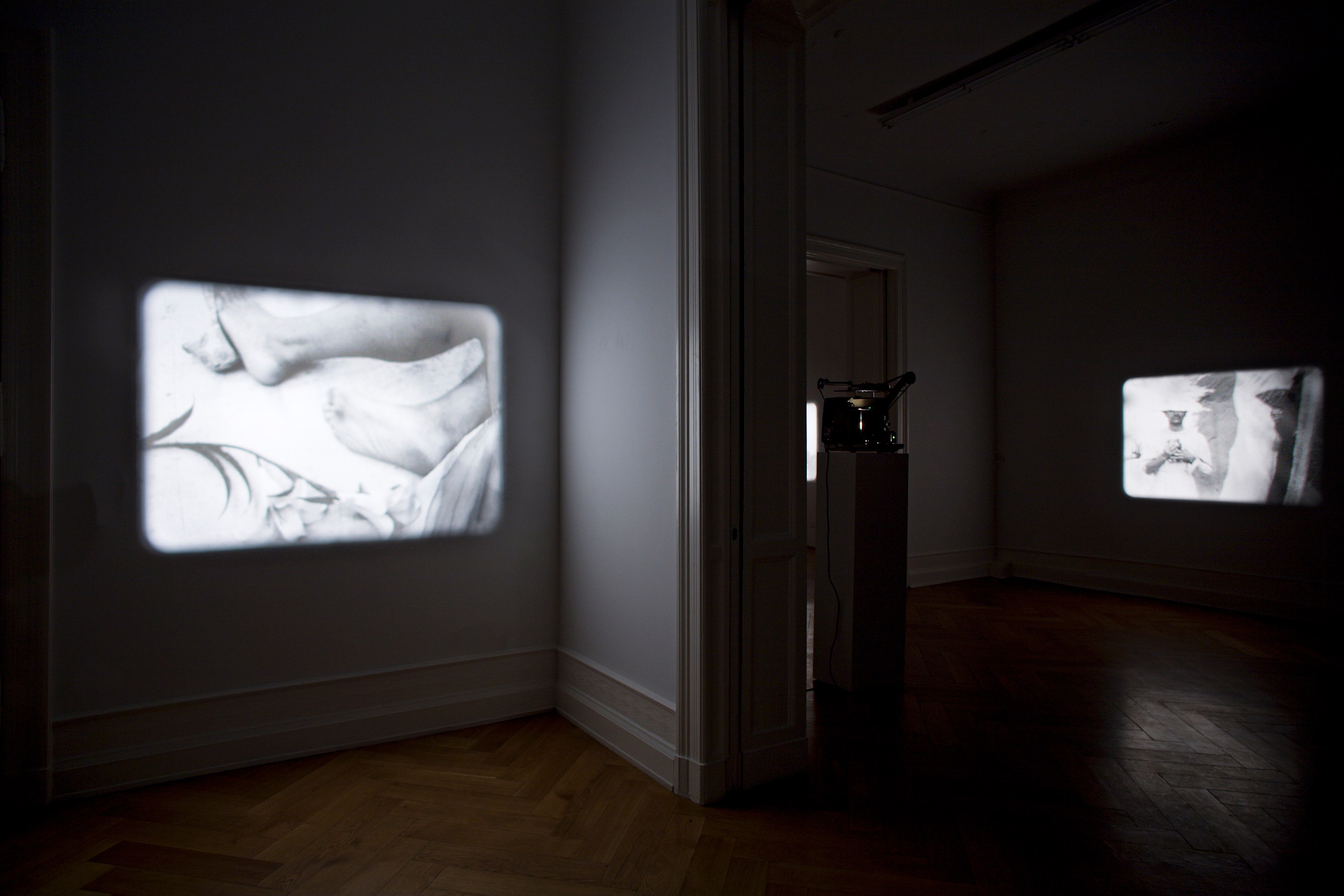 Tony Conrad, Re-Framing Creatures at Galerie Buchholz, Berlin, photo 15