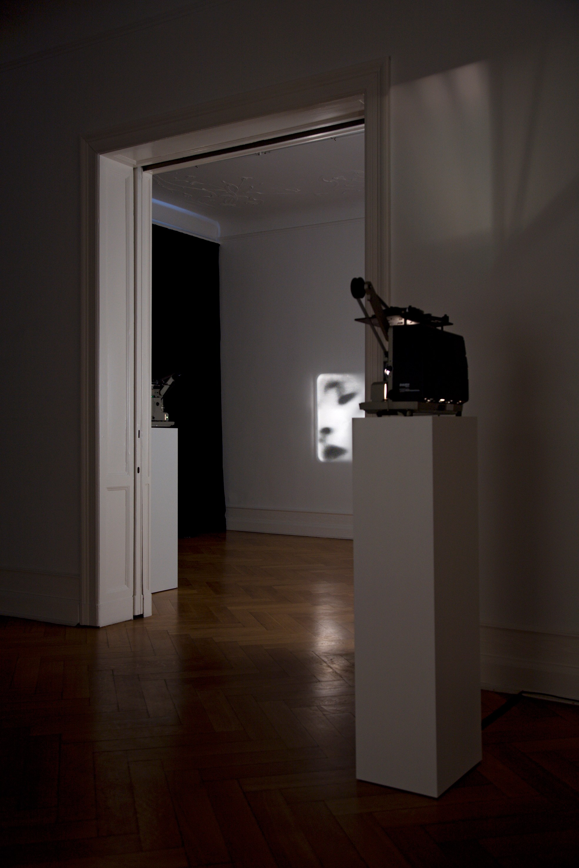 Tony Conrad, Re-Framing Creatures at Galerie Buchholz, Berlin, photo 11