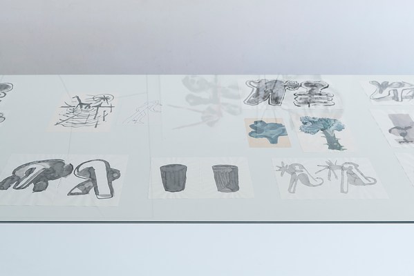 Image 17 of 21