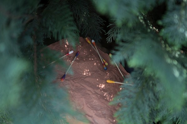 Image 21 of 21