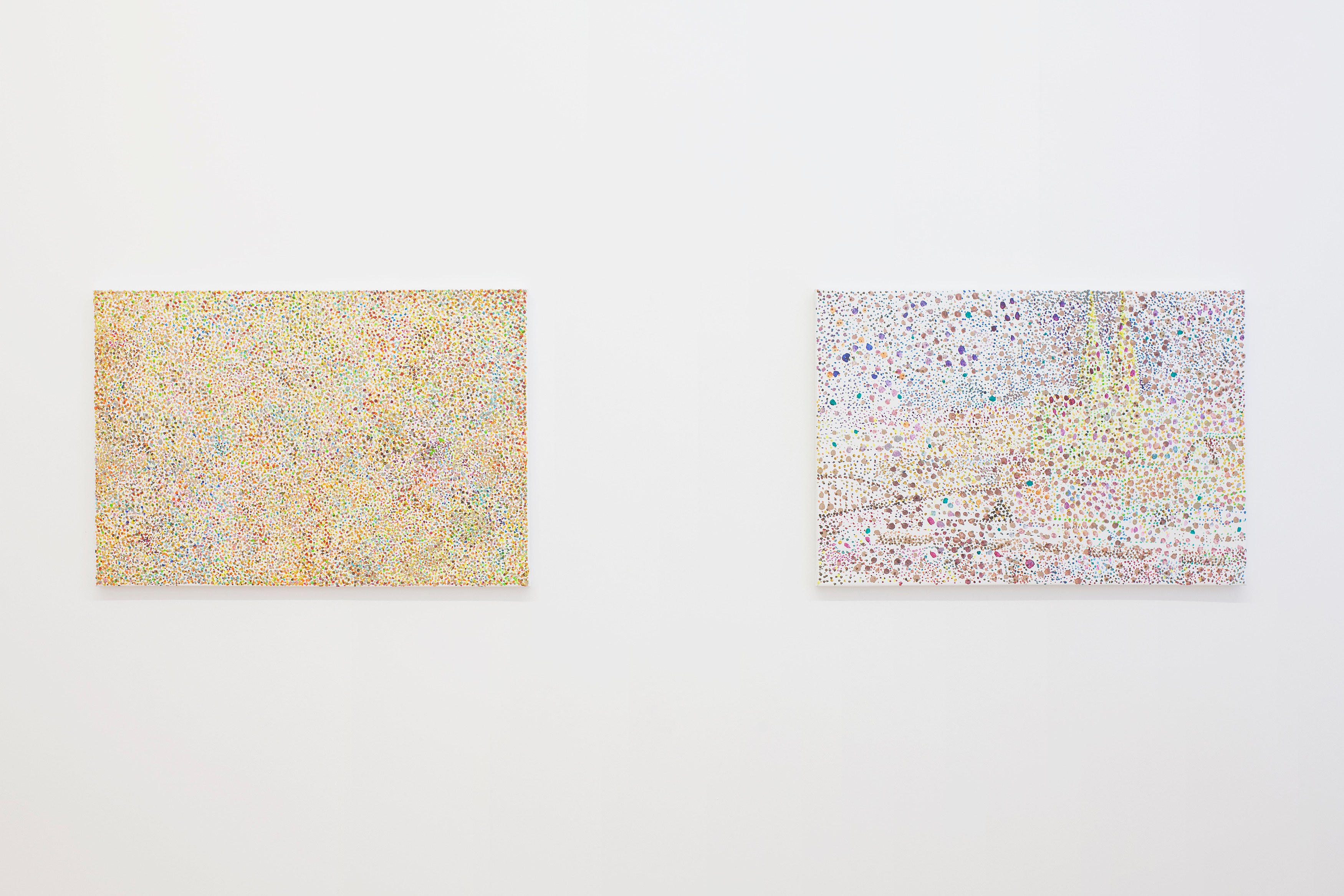Reena Spaulings, Untitled at Galerie Buchholz, Berlin, photo 3