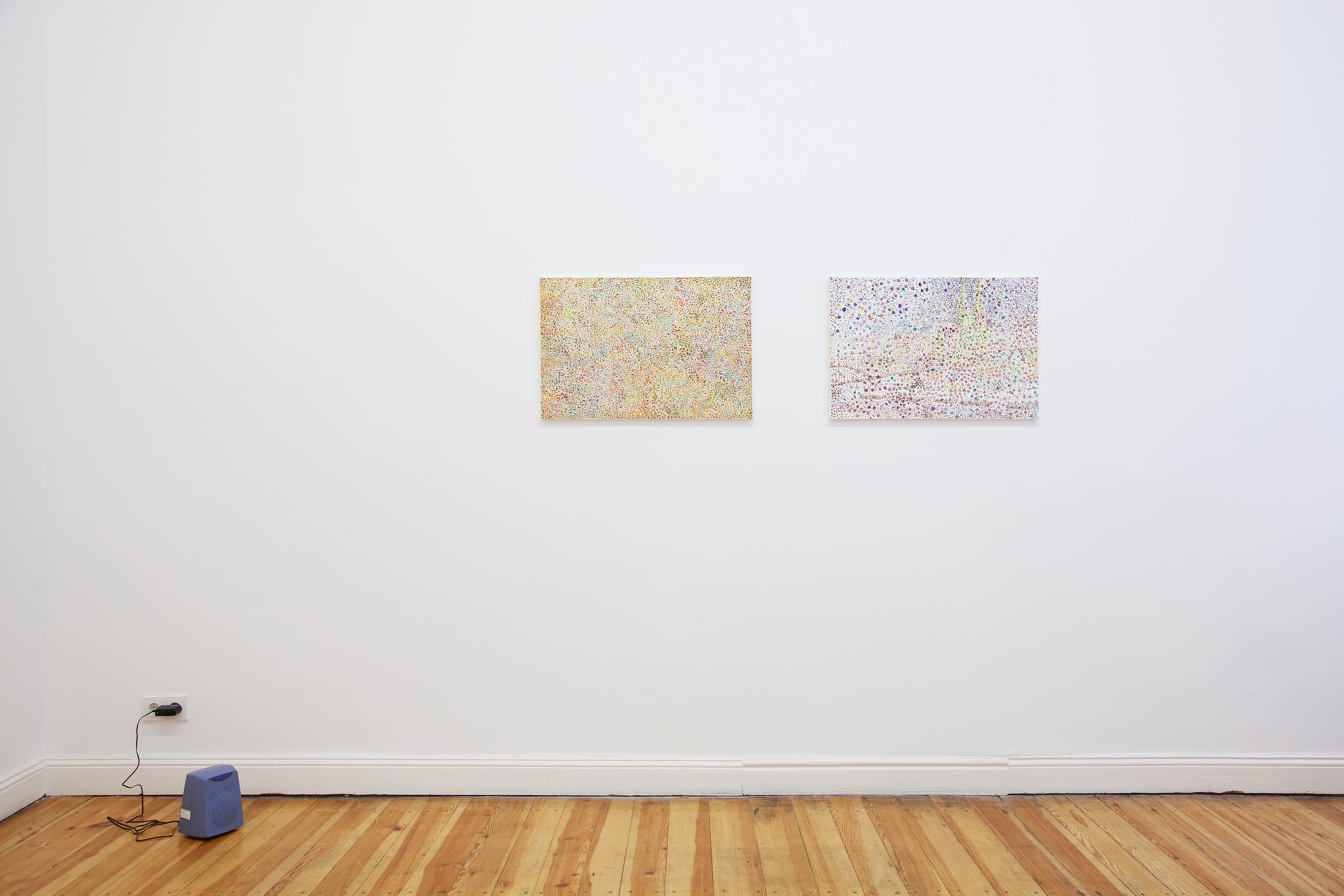 Reena Spaulings, Untitled at Galerie Buchholz, Berlin, photo 2