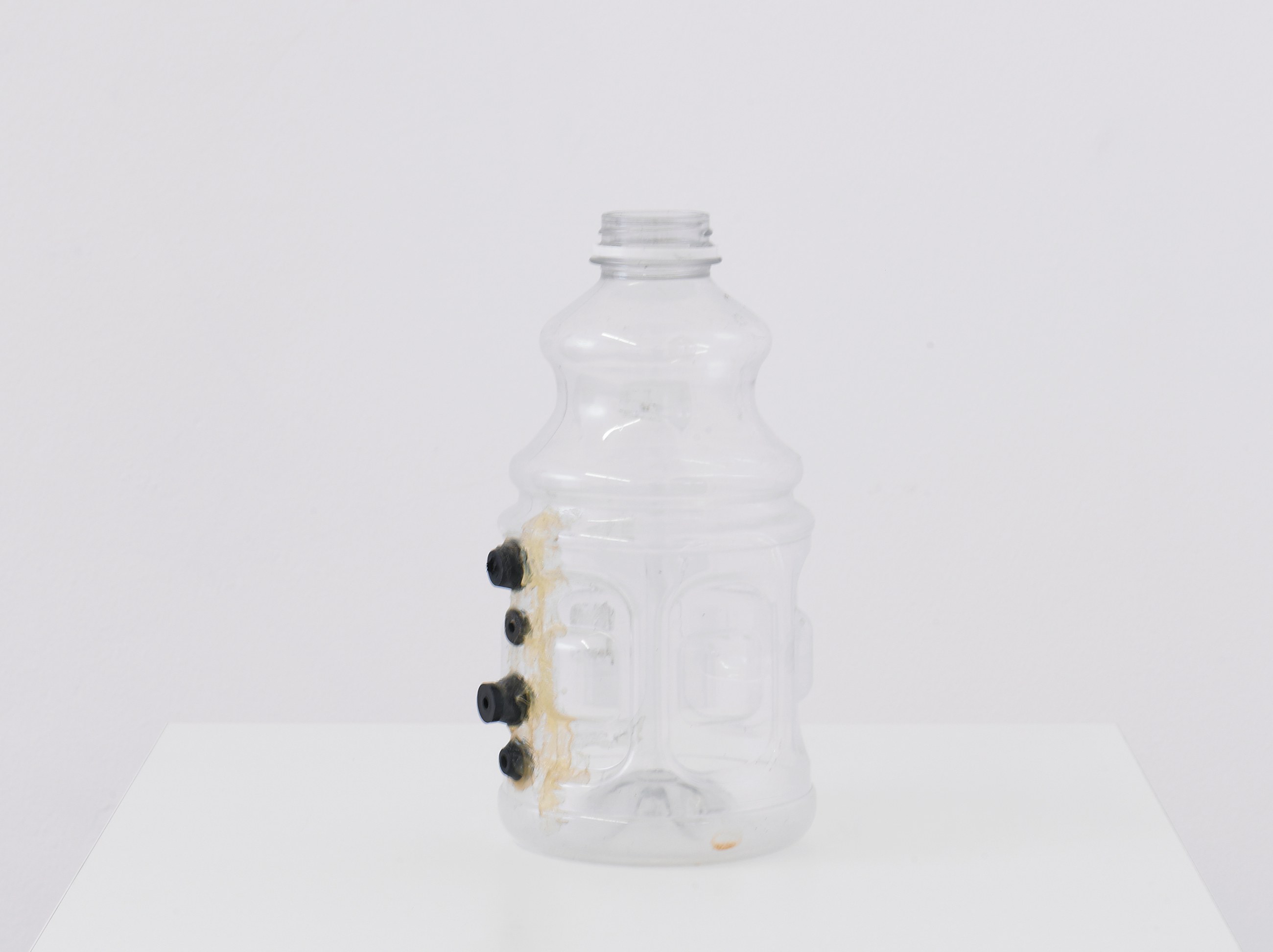 Tony Conrad, Invented Acoustical Tools at Galerie Buchholz, Berlin, photo 15