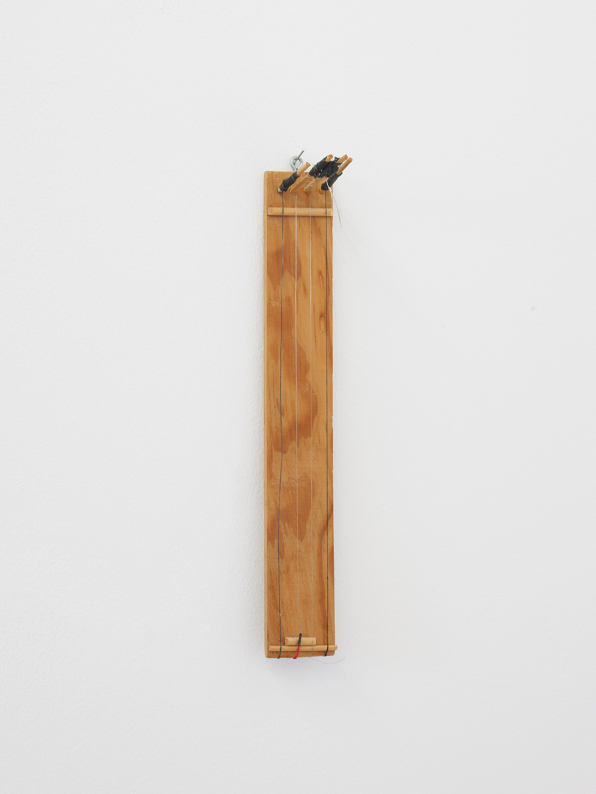 Tony Conrad, Invented Acoustical Tools at Galerie Buchholz, Berlin, photo 33