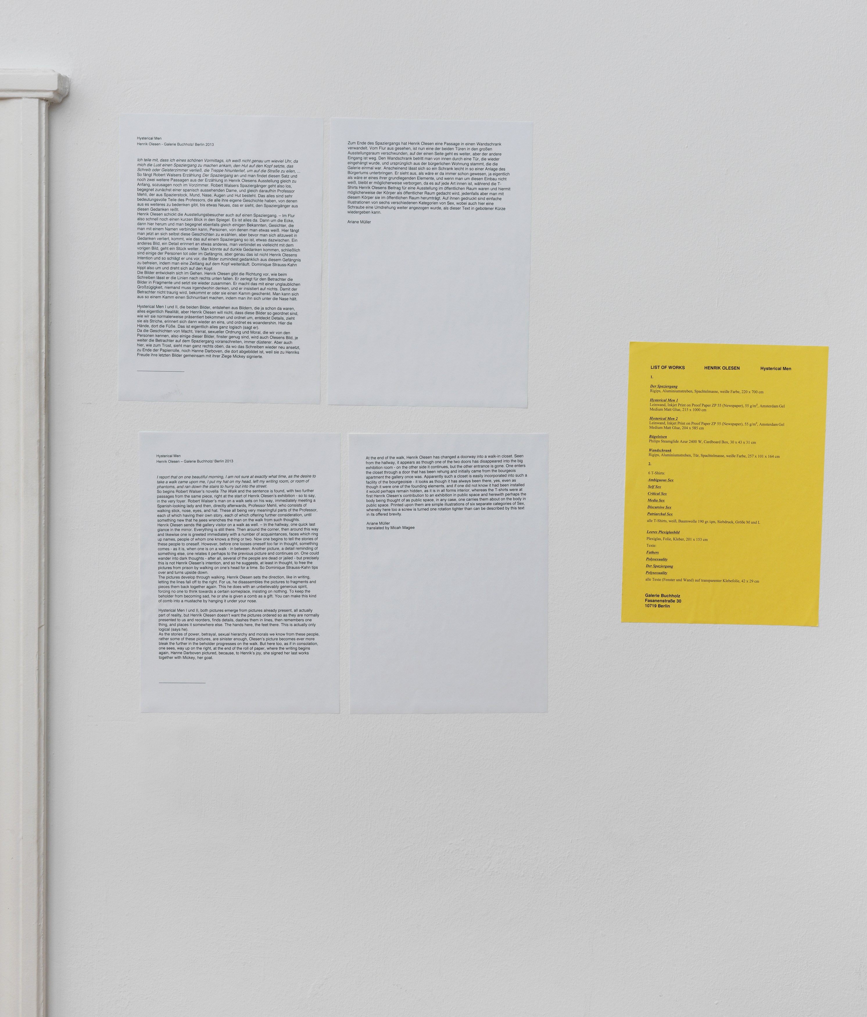 Henrik Olesen, Hysterical Men at Galerie Buchholz, Berlin, photo 46