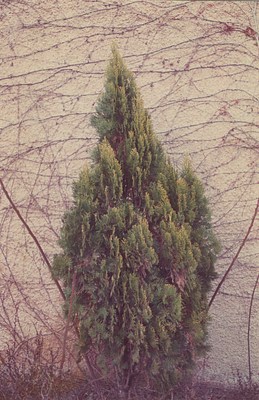 Image 20 of 34