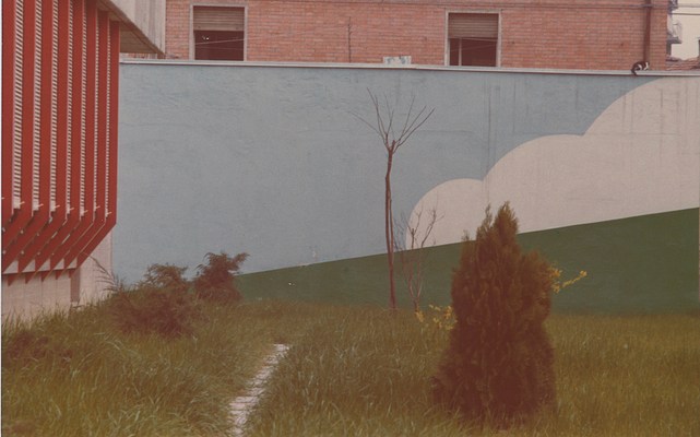 Image 21 of 34