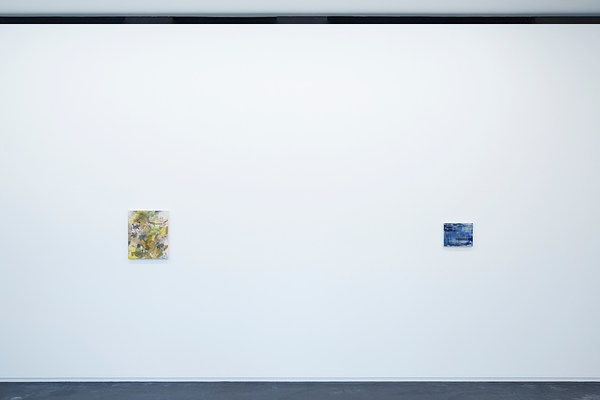 Image 5 of 14