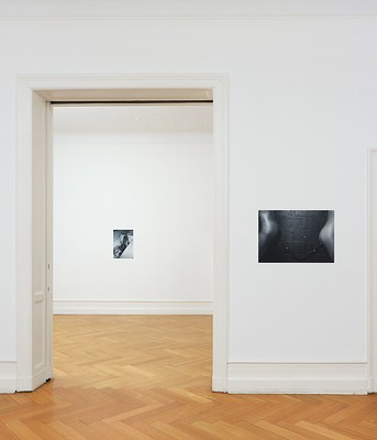 Image 12 of 35