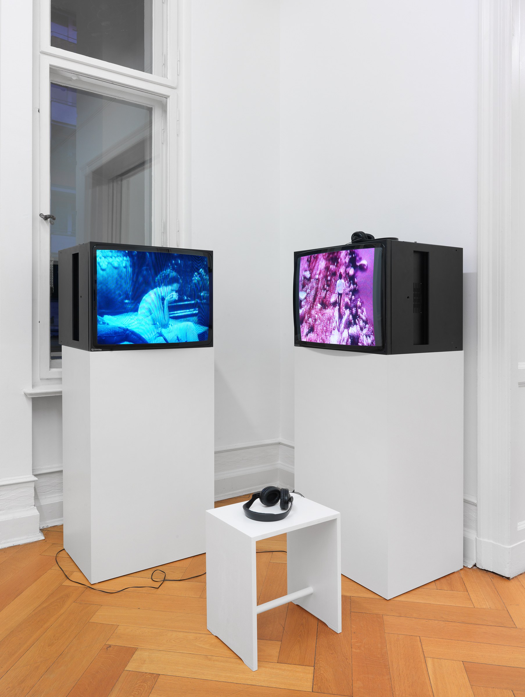 Pictures, Before and After – An Exhibition for Douglas Crimp, Pictures, Before and After – An Exhibition for Douglas Crimp at Galerie Buchholz, Berlin, photo 21