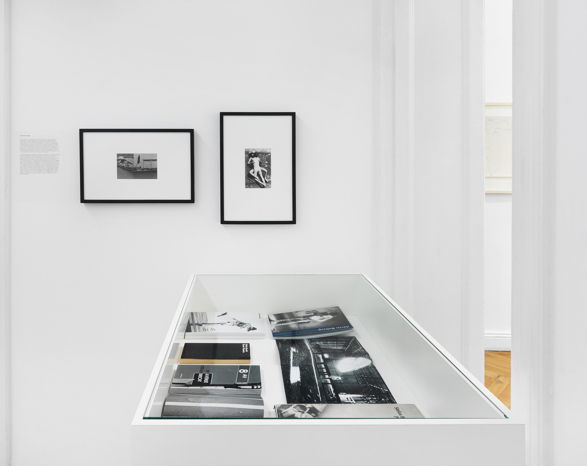 Pictures, Before and After – An Exhibition for Douglas Crimp, Pictures, Before and After – An Exhibition for Douglas Crimp at Galerie Buchholz, Berlin, photo 52