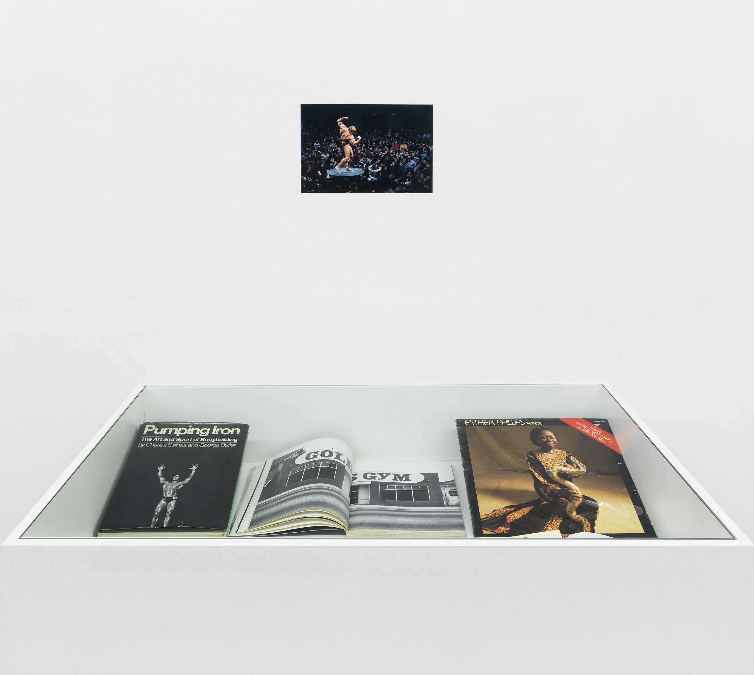 Pictures, Before and After – An Exhibition for Douglas Crimp, Pictures, Before and After – An Exhibition for Douglas Crimp at Galerie Buchholz, Berlin, photo 62