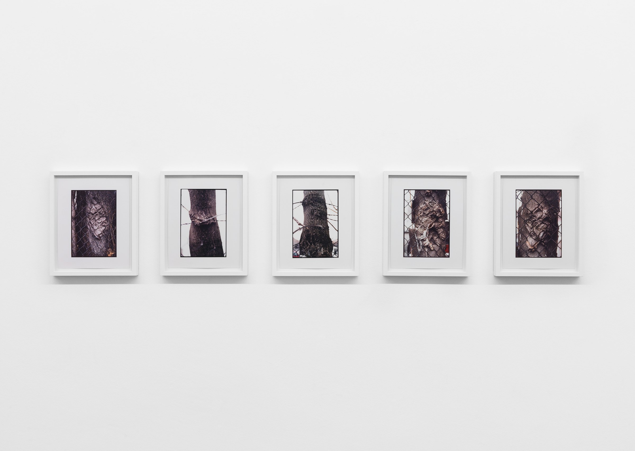 Pictures, Before and After – An Exhibition for Douglas Crimp, Pictures, Before and After – An Exhibition for Douglas Crimp at Galerie Buchholz, Berlin, photo 66