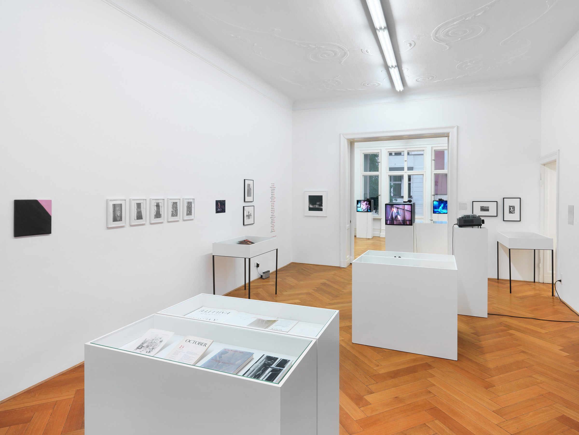 Pictures, Before and After – An Exhibition for Douglas Crimp, Pictures, Before and After – An Exhibition for Douglas Crimp at Galerie Buchholz, Berlin, photo 72