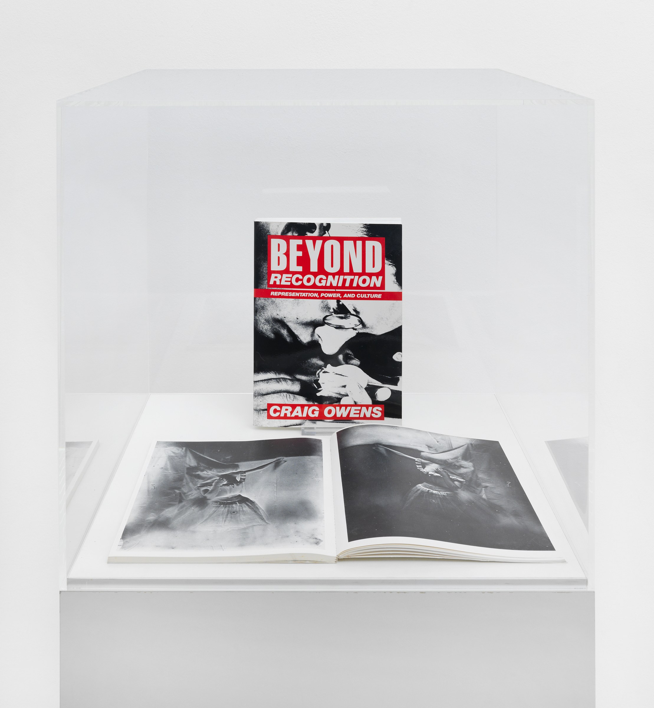 Pictures, Before and After – An Exhibition for Douglas Crimp, Pictures, Before and After – An Exhibition for Douglas Crimp at Galerie Buchholz, Berlin, photo 89