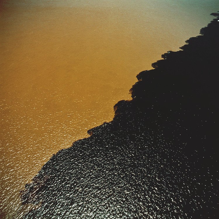 Clarissa Tossin Contemporary Art Library