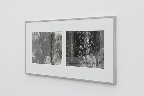 Image 4 of 11