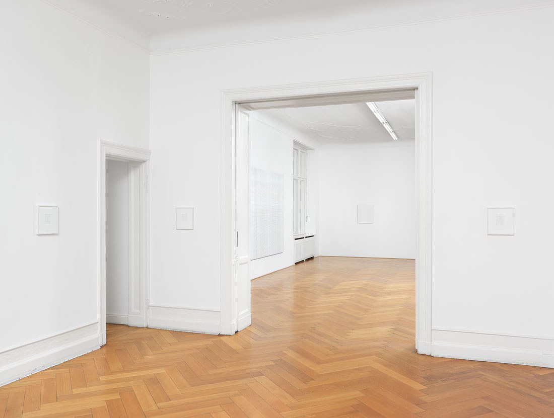 Cheyney Thompson, Chambered Shells and Birdwings at Galerie Buchholz, Berlin, photo 9
