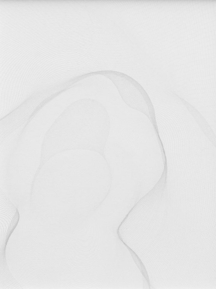 Cheyney Thompson, Chambered Shells and Birdwings at Galerie Buchholz, Berlin, photo 12