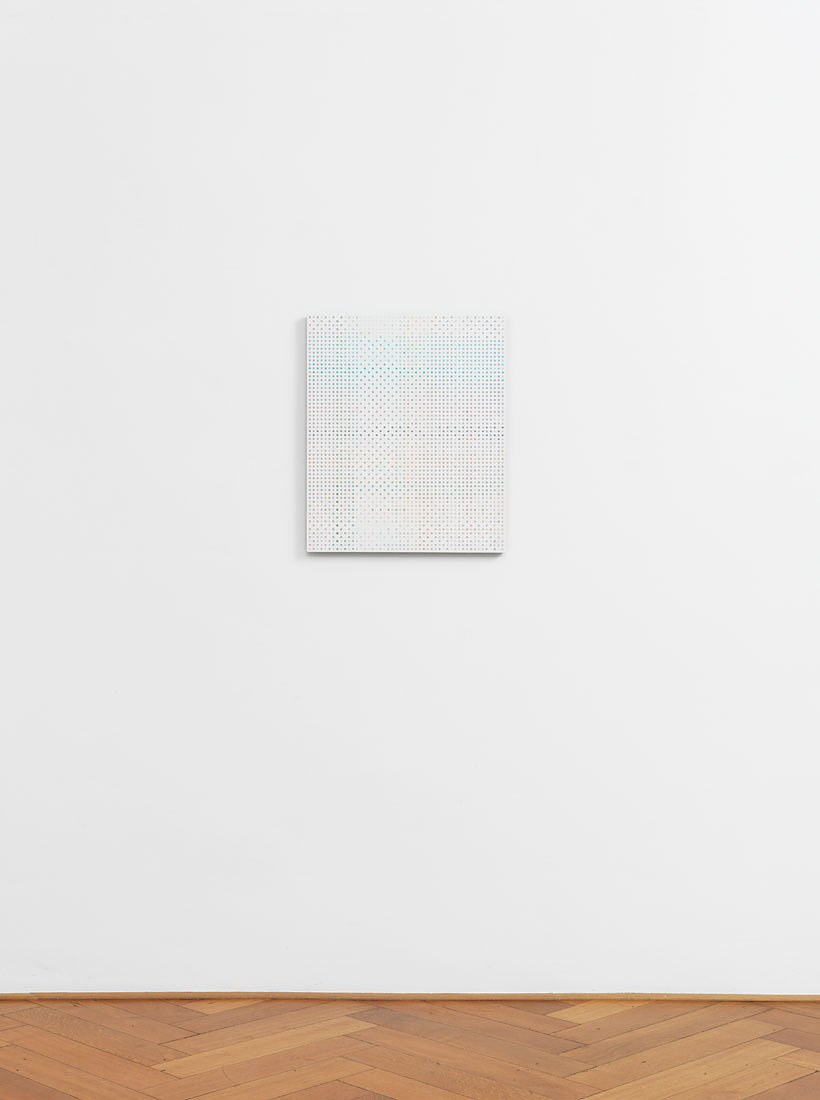 Cheyney Thompson, Chambered Shells and Birdwings at Galerie Buchholz, Berlin, photo 16