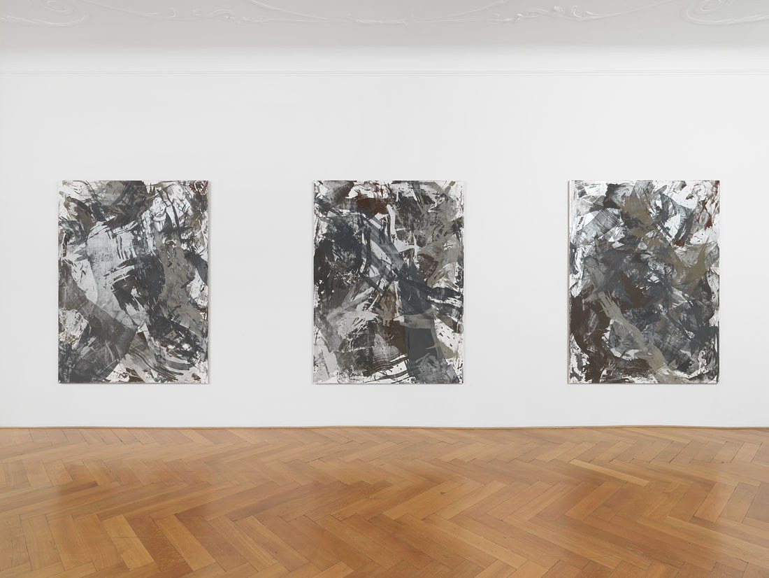 Cheyney Thompson, Chambered Shells and Birdwings at Galerie Buchholz, Berlin, photo 18
