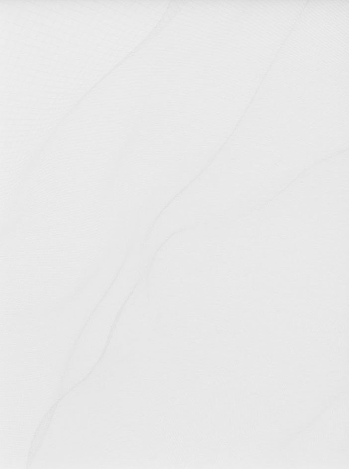 Cheyney Thompson, Chambered Shells and Birdwings at Galerie Buchholz, Berlin, photo 10