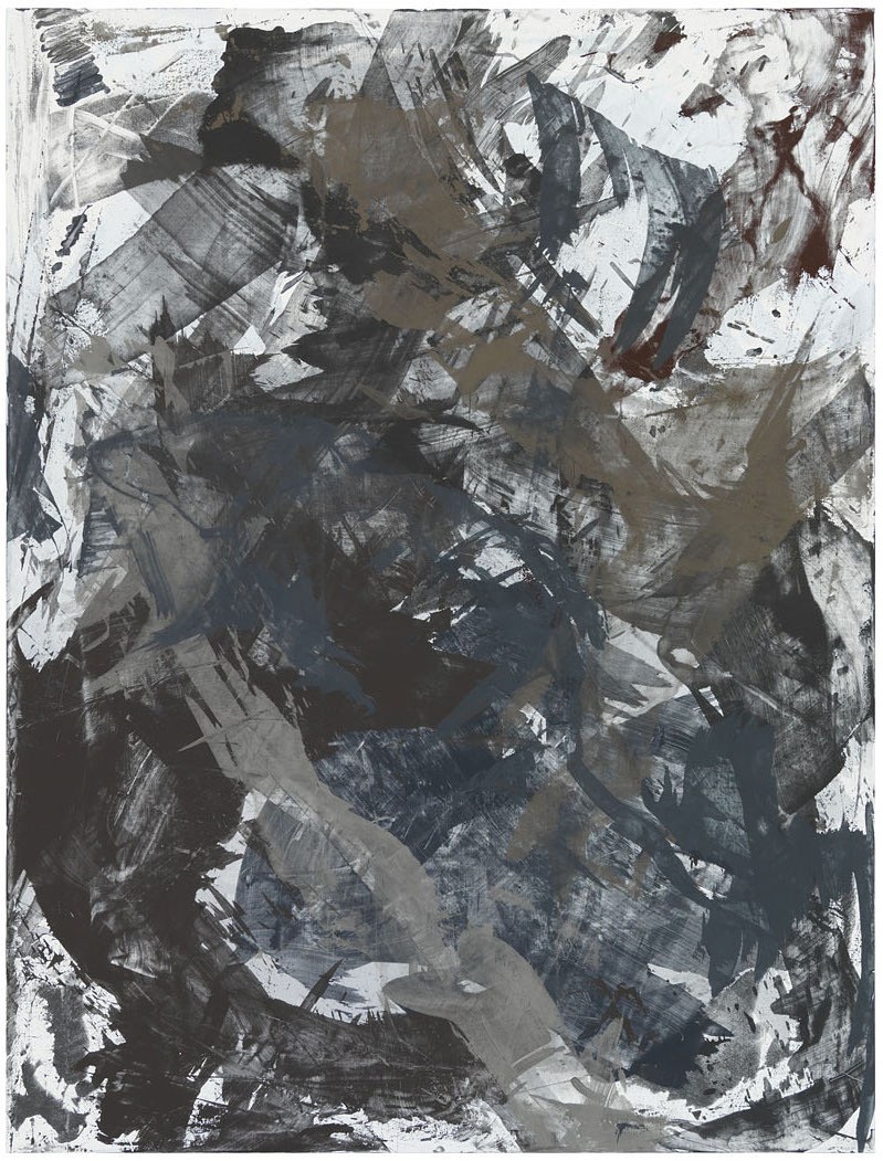 Cheyney Thompson, Chambered Shells and Birdwings at Galerie Buchholz, Berlin, photo 21