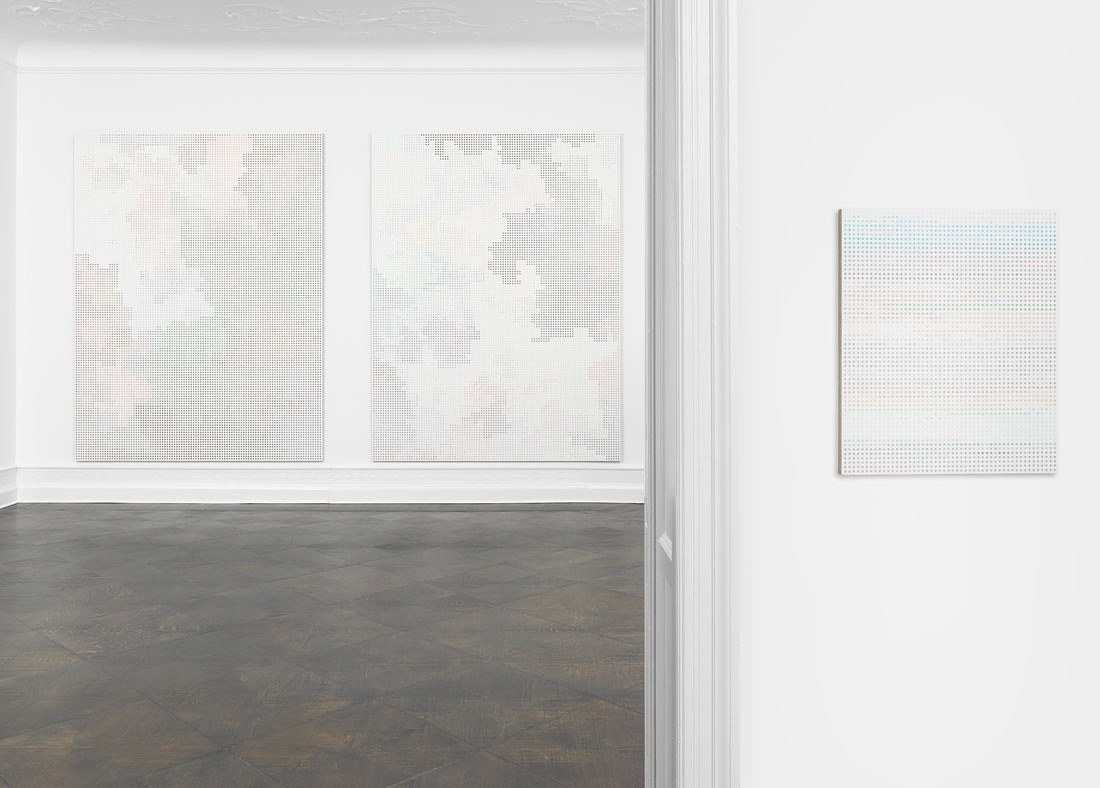 Cheyney Thompson, Chambered Shells and Birdwings at Galerie Buchholz, Berlin, photo 27