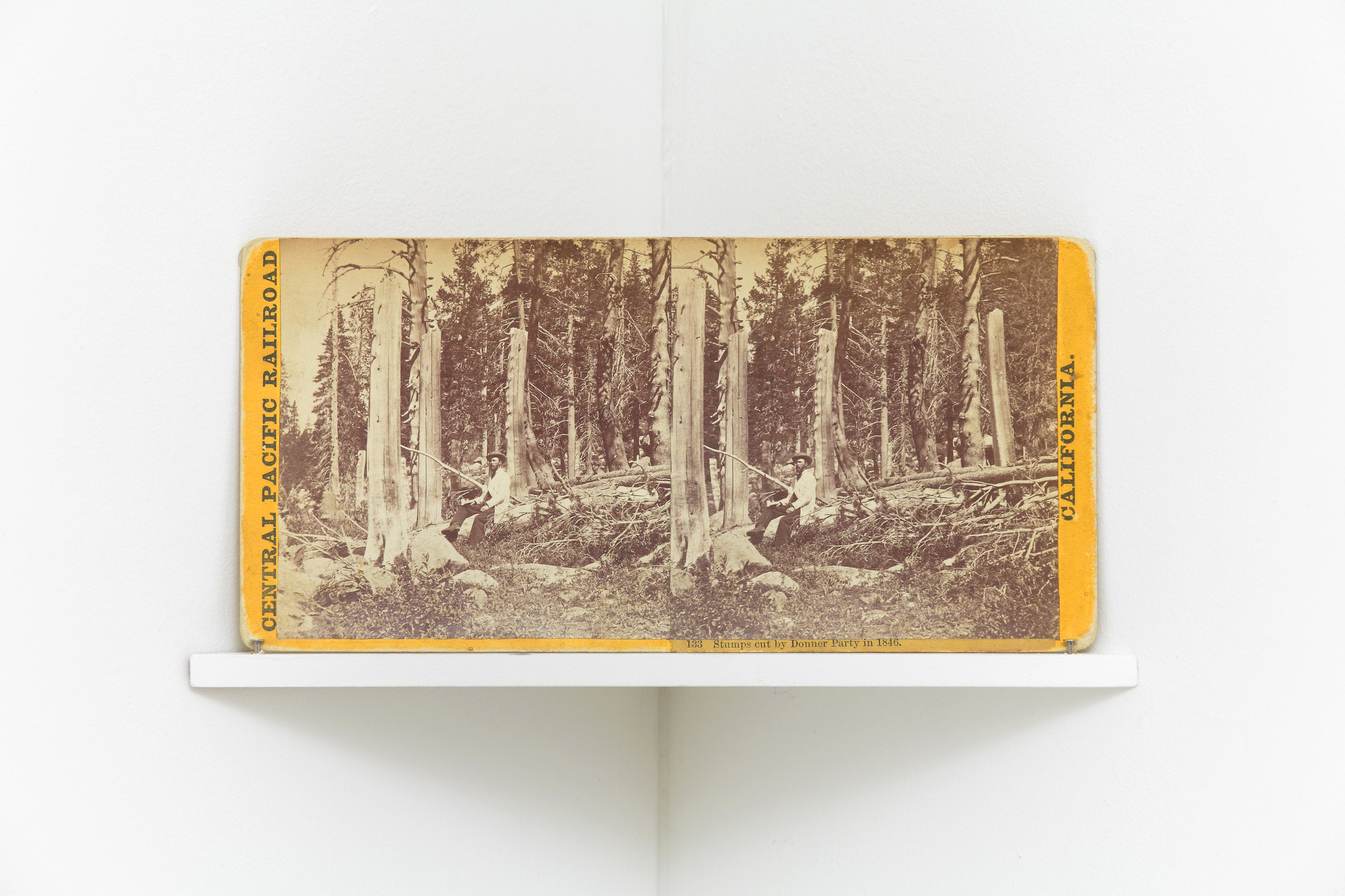 Julie Ault, afterlife at Galerie Buchholz, Berlin, photo 13