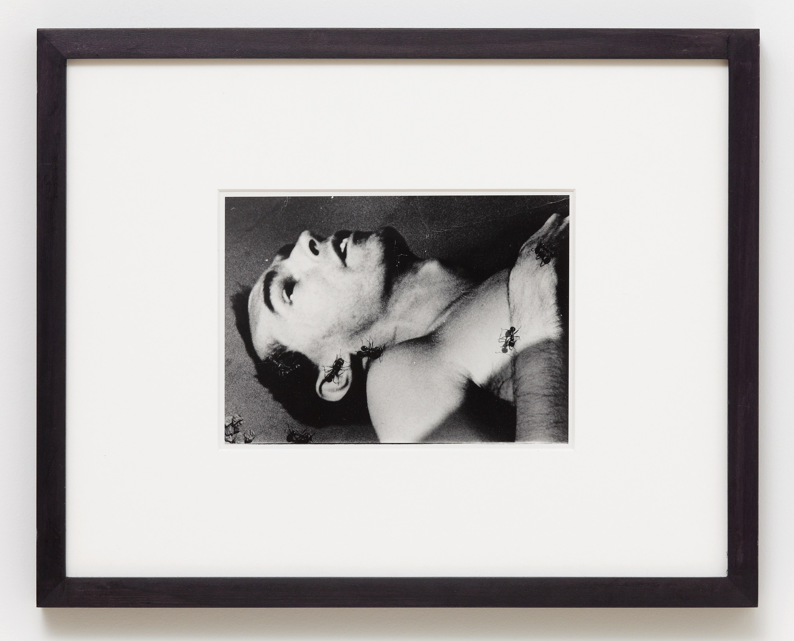 Julie Ault, afterlife at Galerie Buchholz, Berlin, photo 45