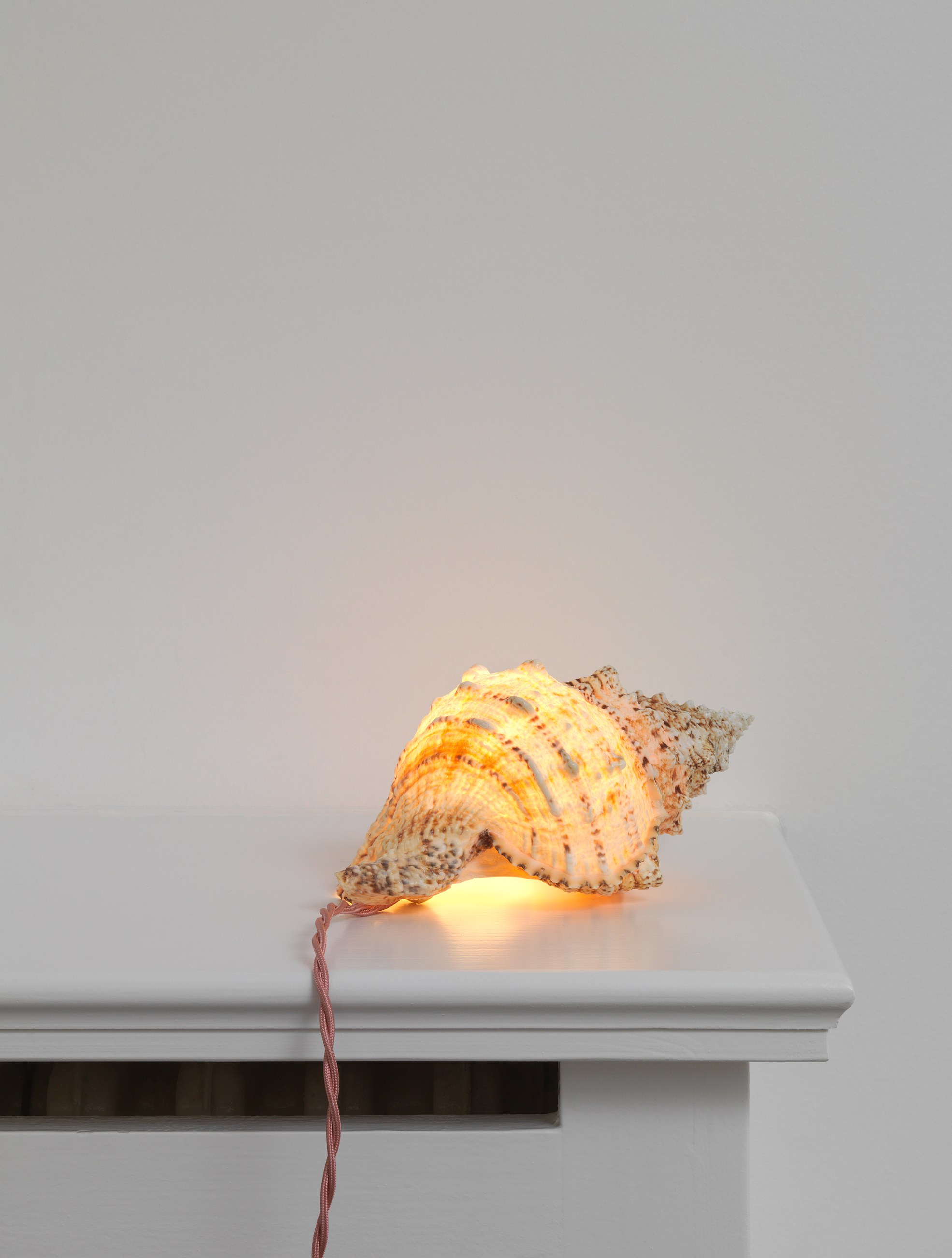 Lucy McKenzie, Inspired by an Atlas of Leprosy at Galerie Buchholz, Berlin, photo 16