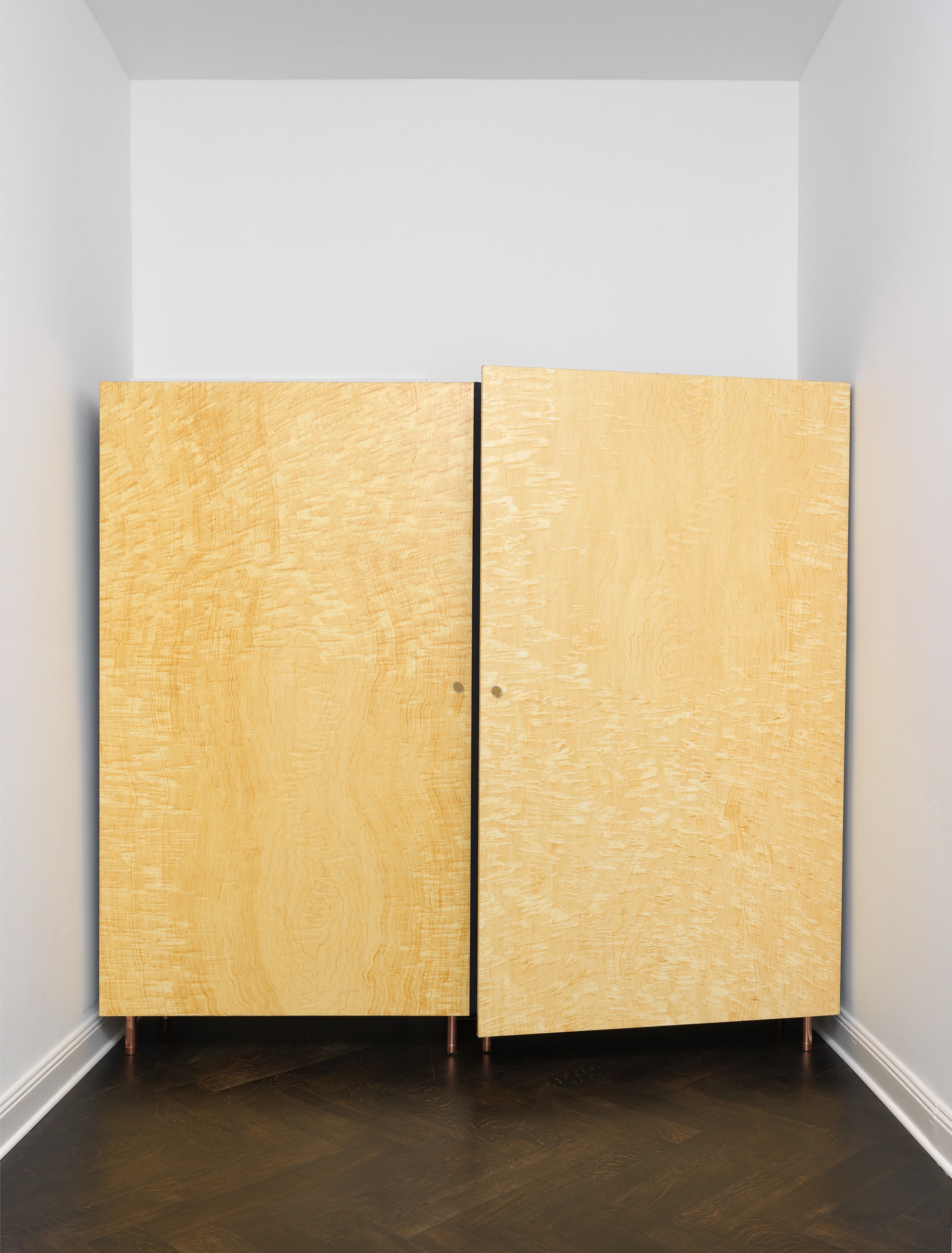 Lucy McKenzie, Inspired by an Atlas of Leprosy at Galerie Buchholz, Berlin, photo 28