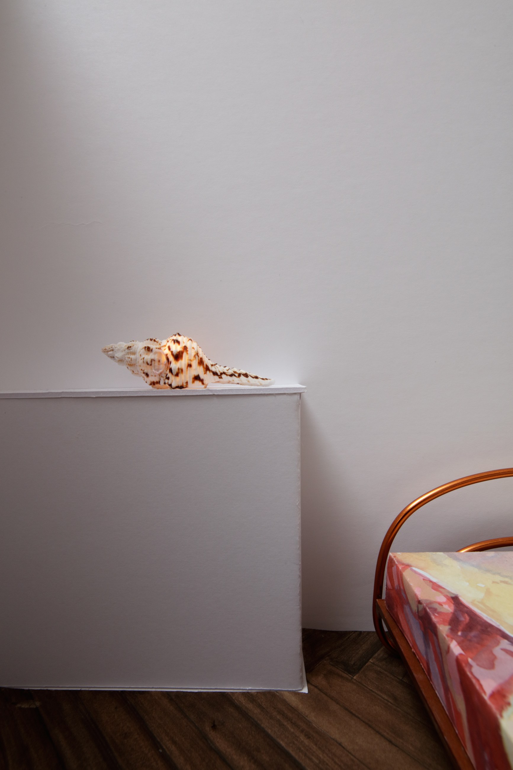 Lucy McKenzie, Inspired by an Atlas of Leprosy at Galerie Buchholz, Berlin, photo 54