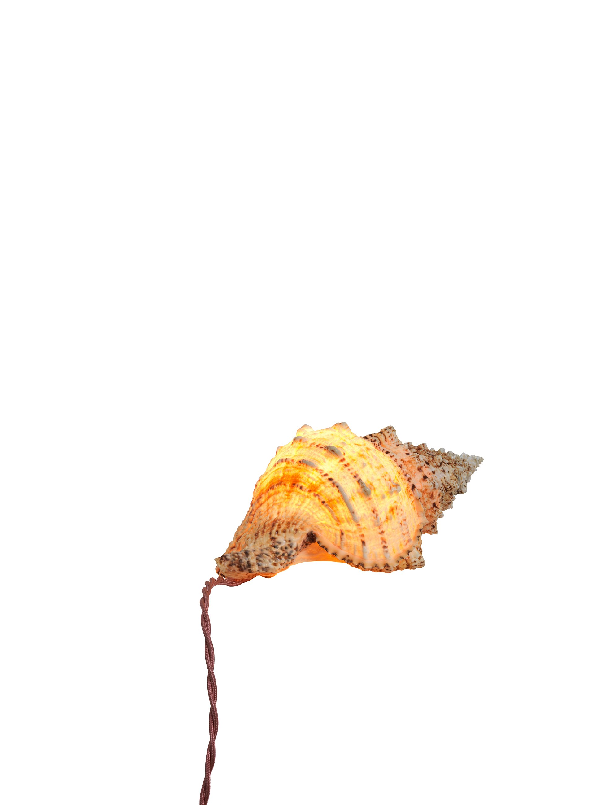 Lucy McKenzie, Inspired by Inspired by at Galerie Buchholz, Berlin, photo 25