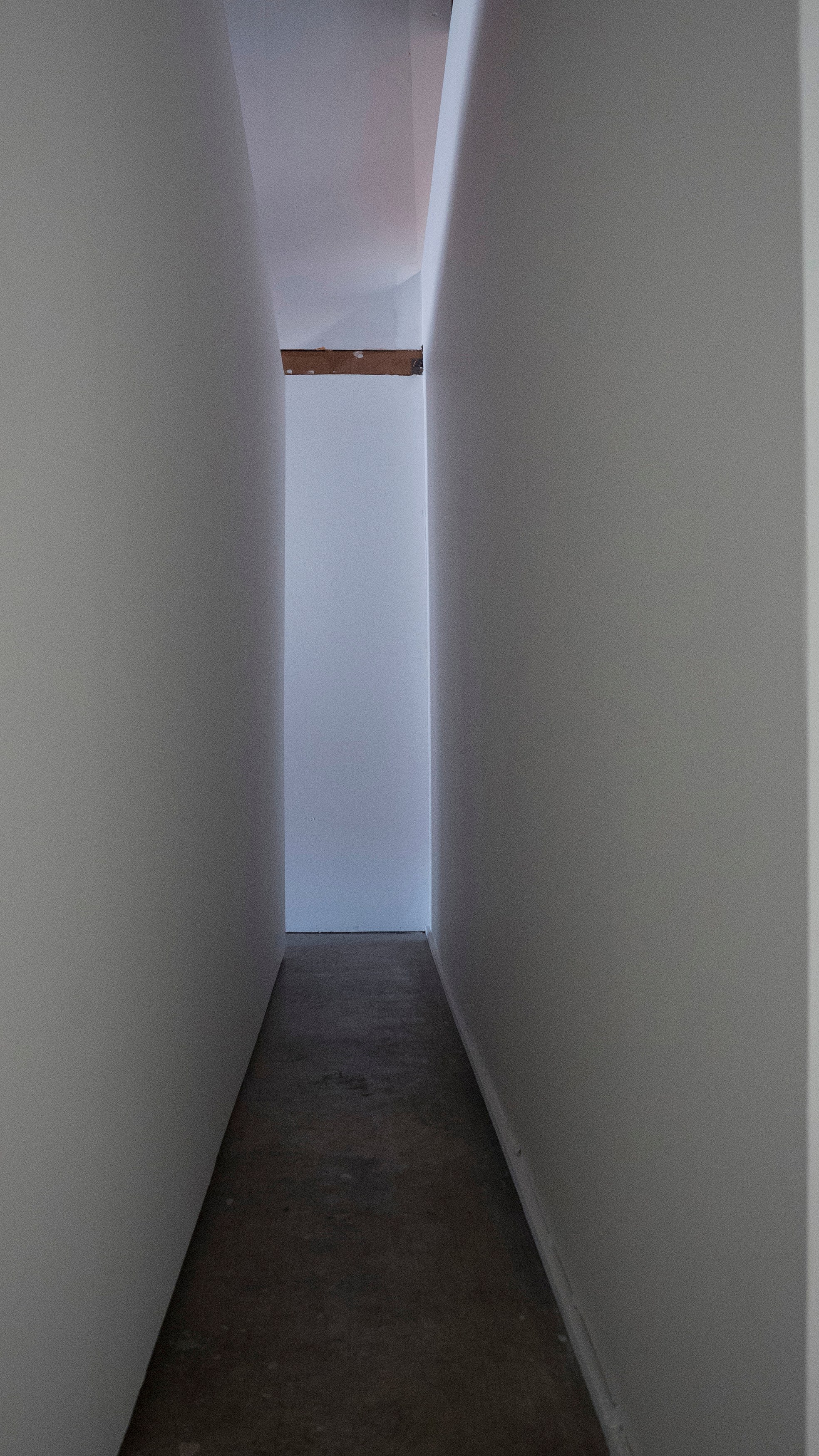 Nick Bastis, Nick Raffel, Untitled at Joan, photo 23