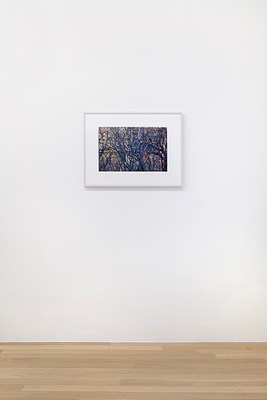 Image 1 of 38