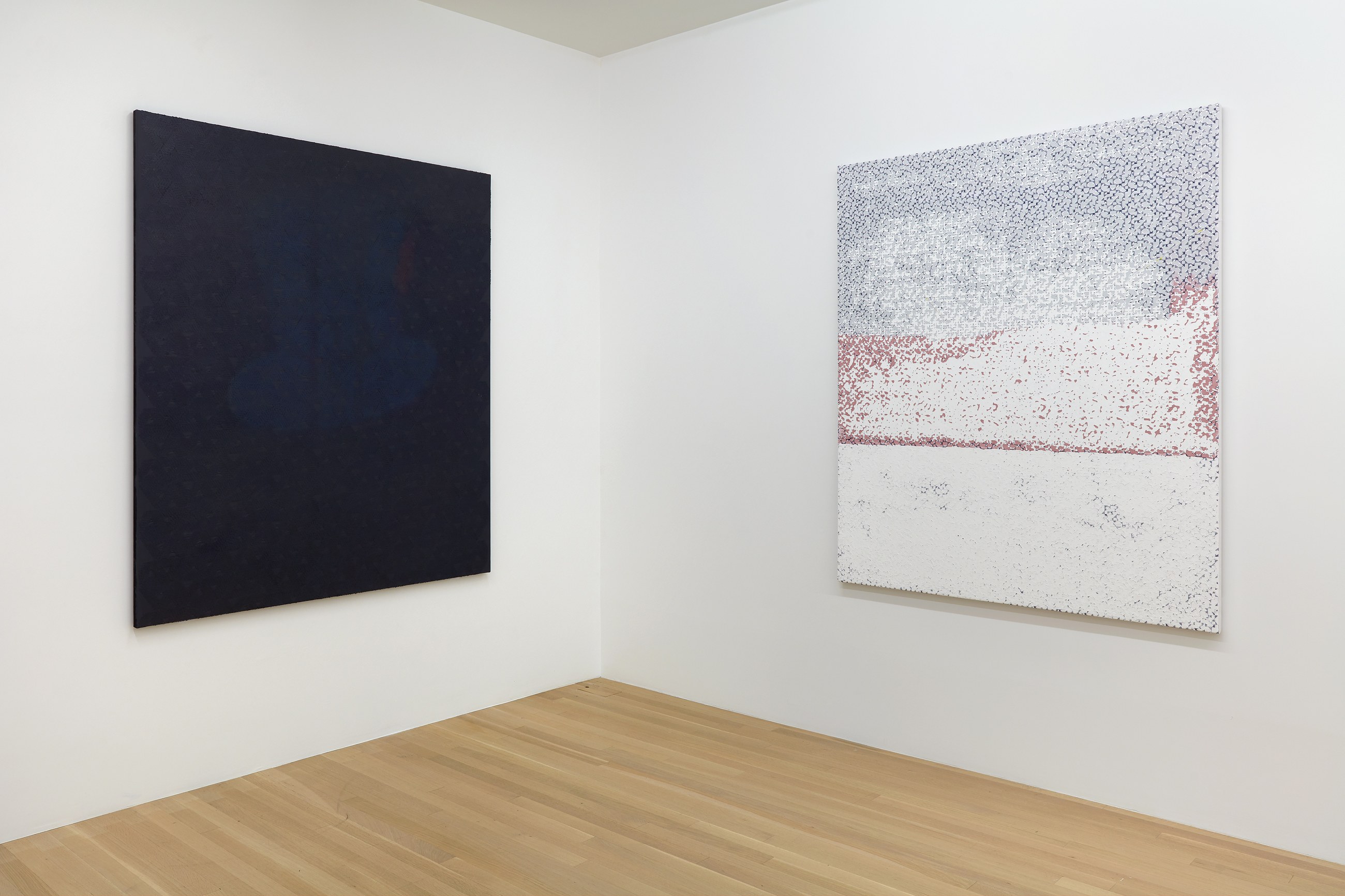 Sergej Jensen, Fabric Paintings at Galerie Buchholz, Berlin, photo 8