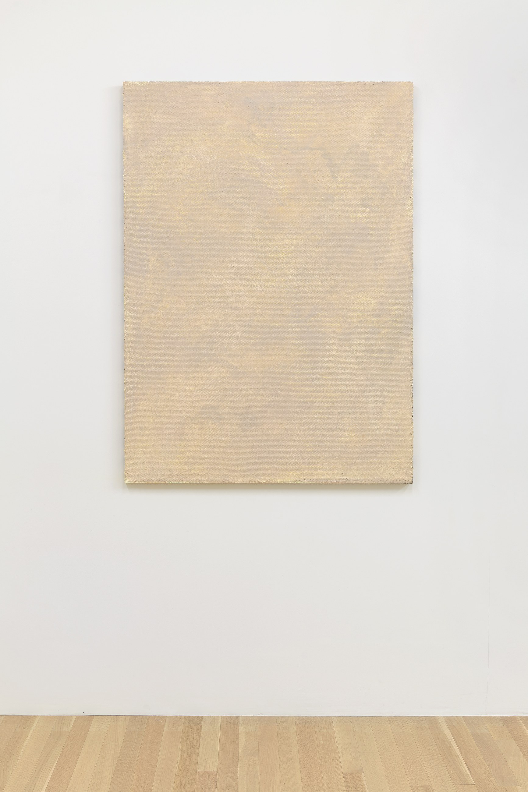 Sergej Jensen, Fabric Paintings at Galerie Buchholz, Berlin, photo 31