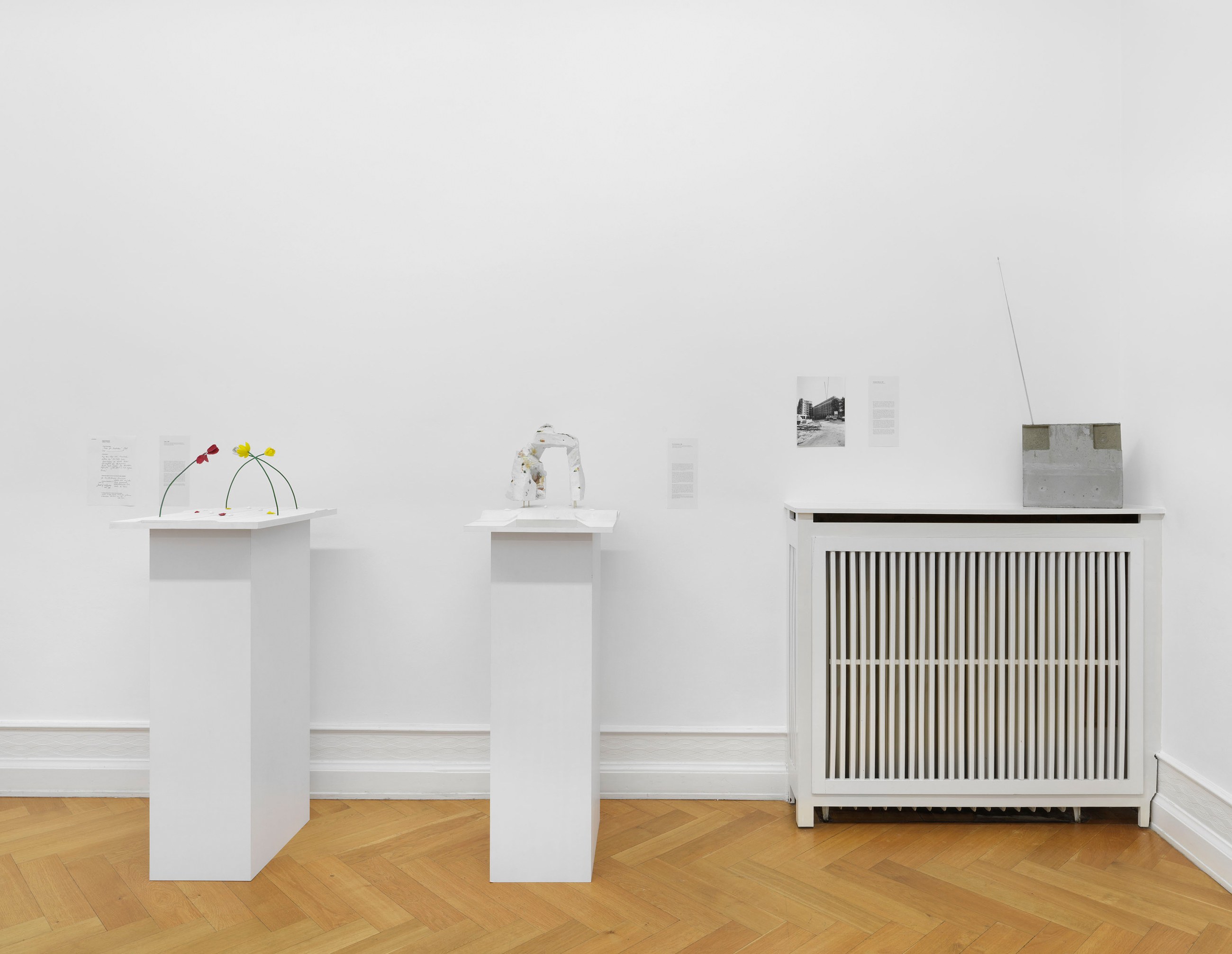 Isa Genzken, Projects for Outside at Galerie Buchholz, Berlin, photo 9