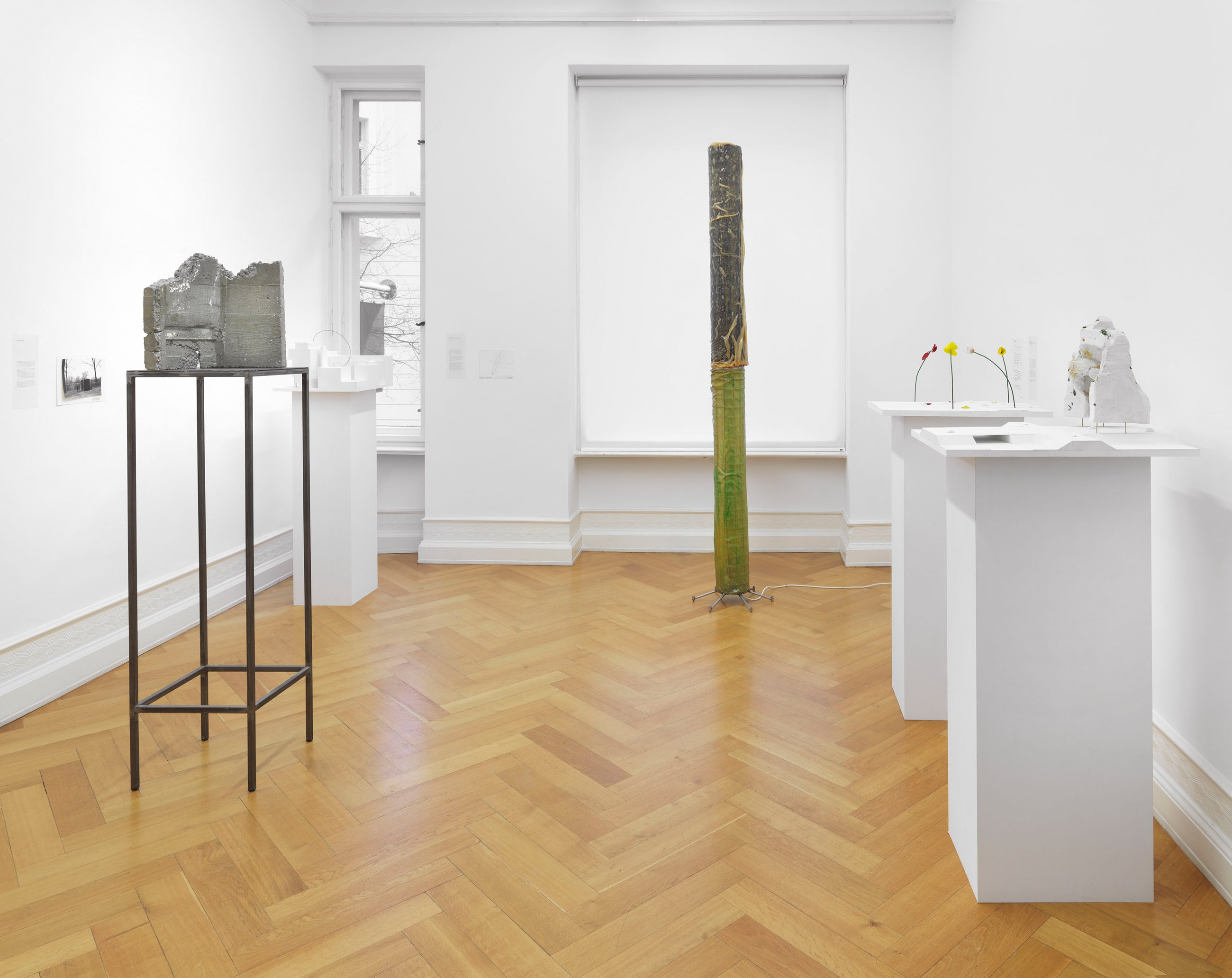 Isa Genzken, Projects for Outside at Galerie Buchholz, Berlin, photo 14
