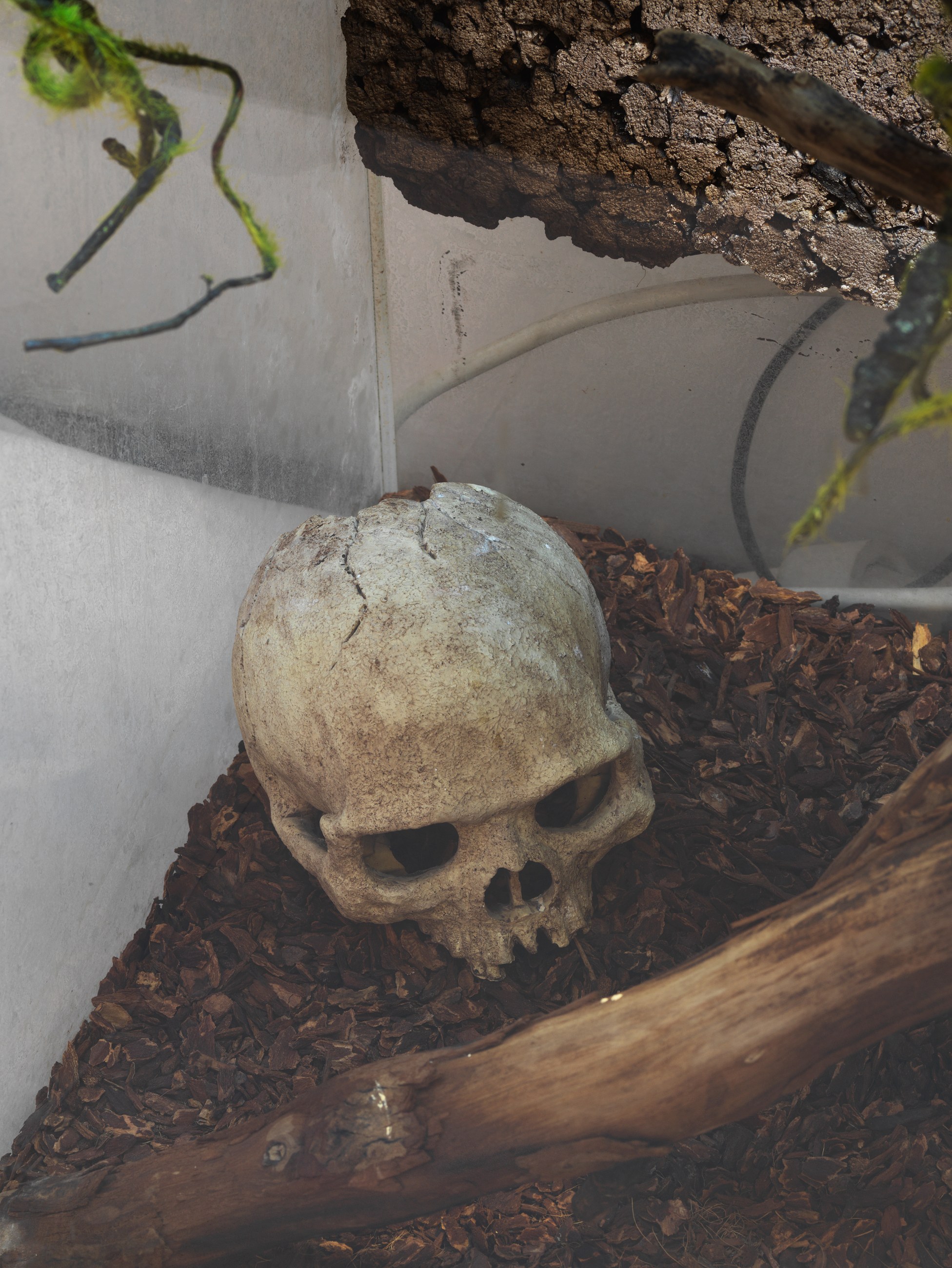 Anne Imhof, Imagine at Galerie Buchholz, Berlin, photo 23
