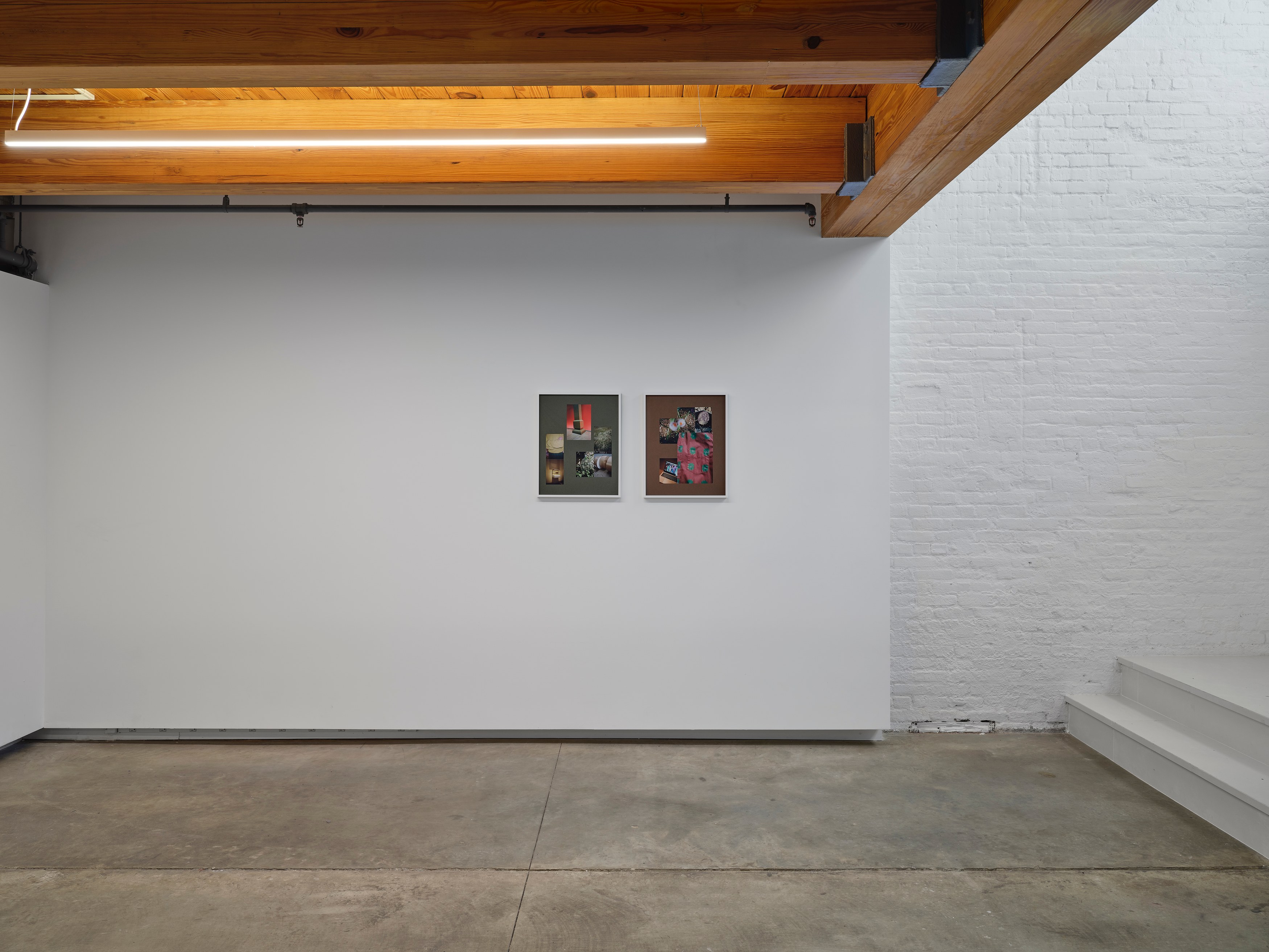 The Ecology Of Visibility, The Ecology Of Visibility at anonymous gallery, photo 6