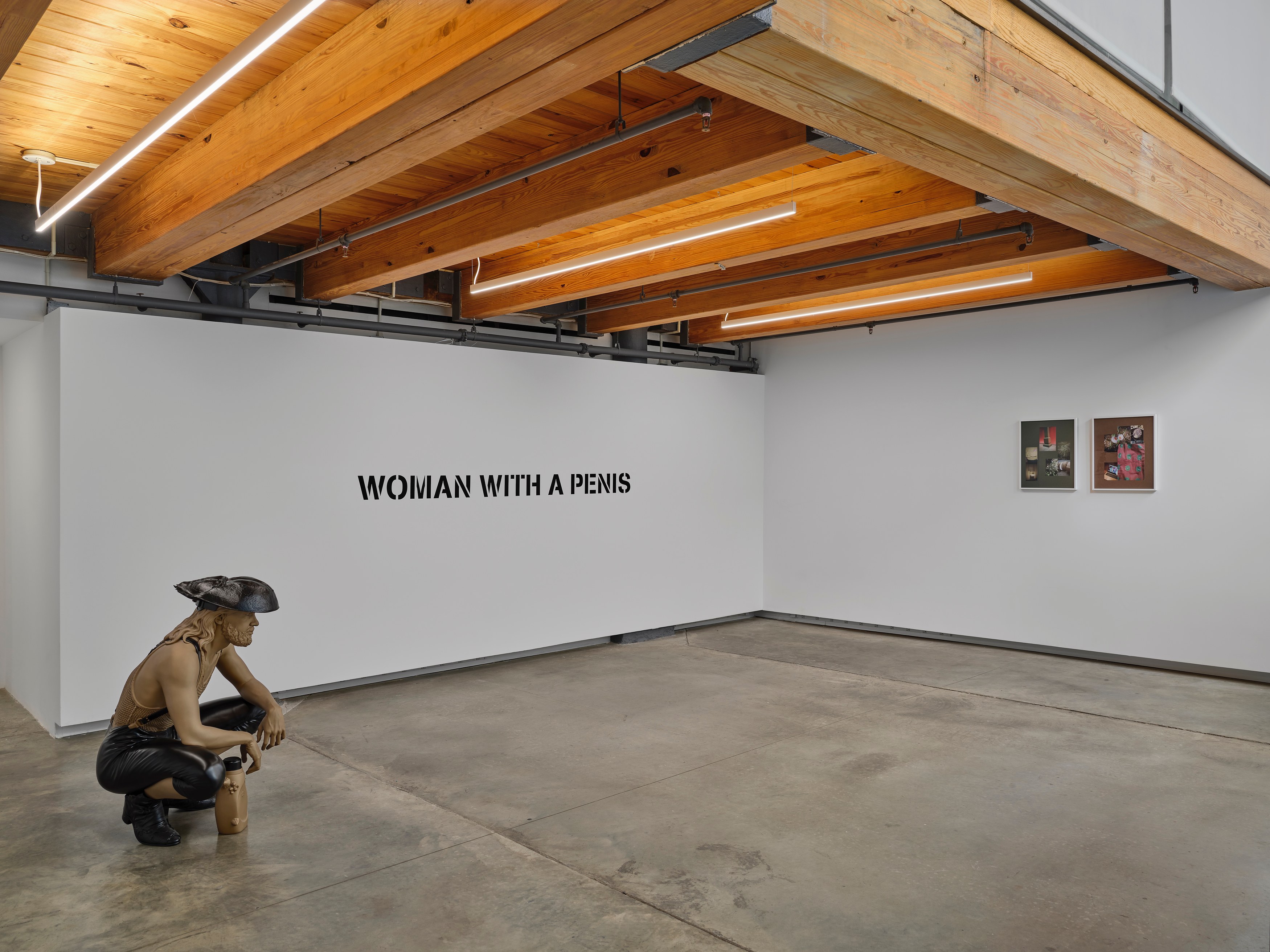 The Ecology Of Visibility, The Ecology Of Visibility at anonymous gallery, photo 2