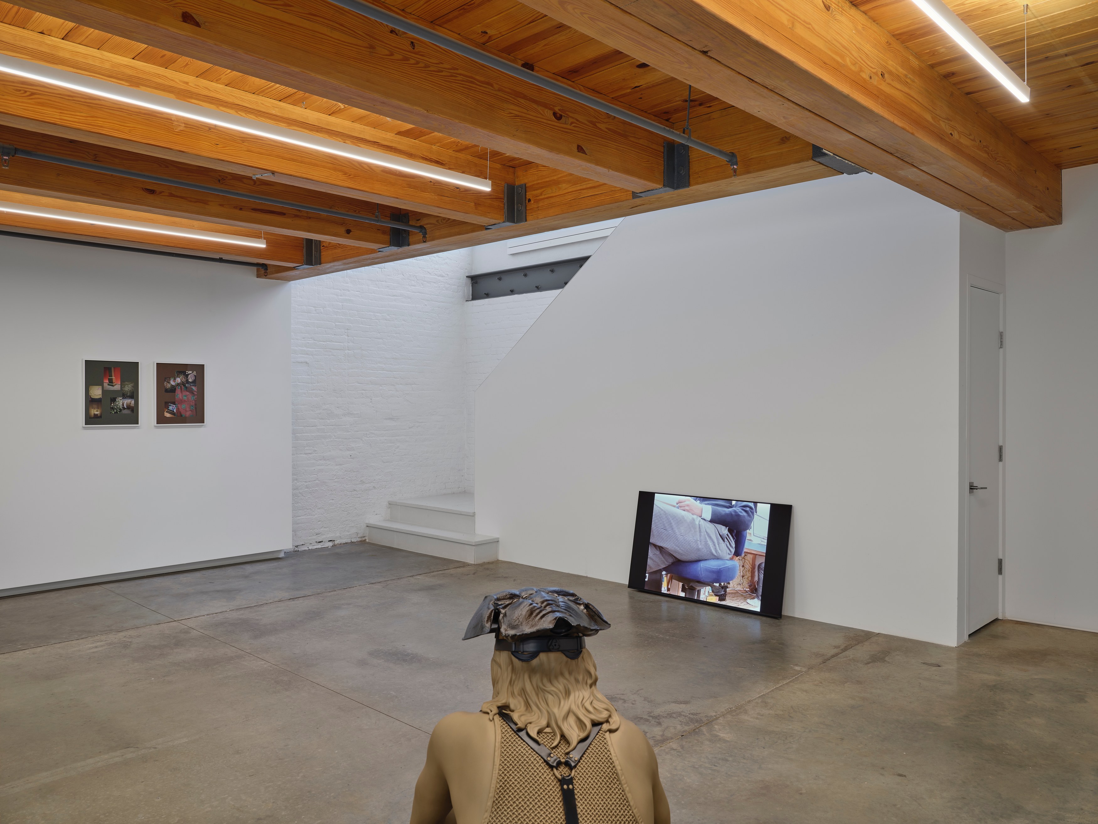 The Ecology Of Visibility, The Ecology Of Visibility at anonymous gallery, photo 3