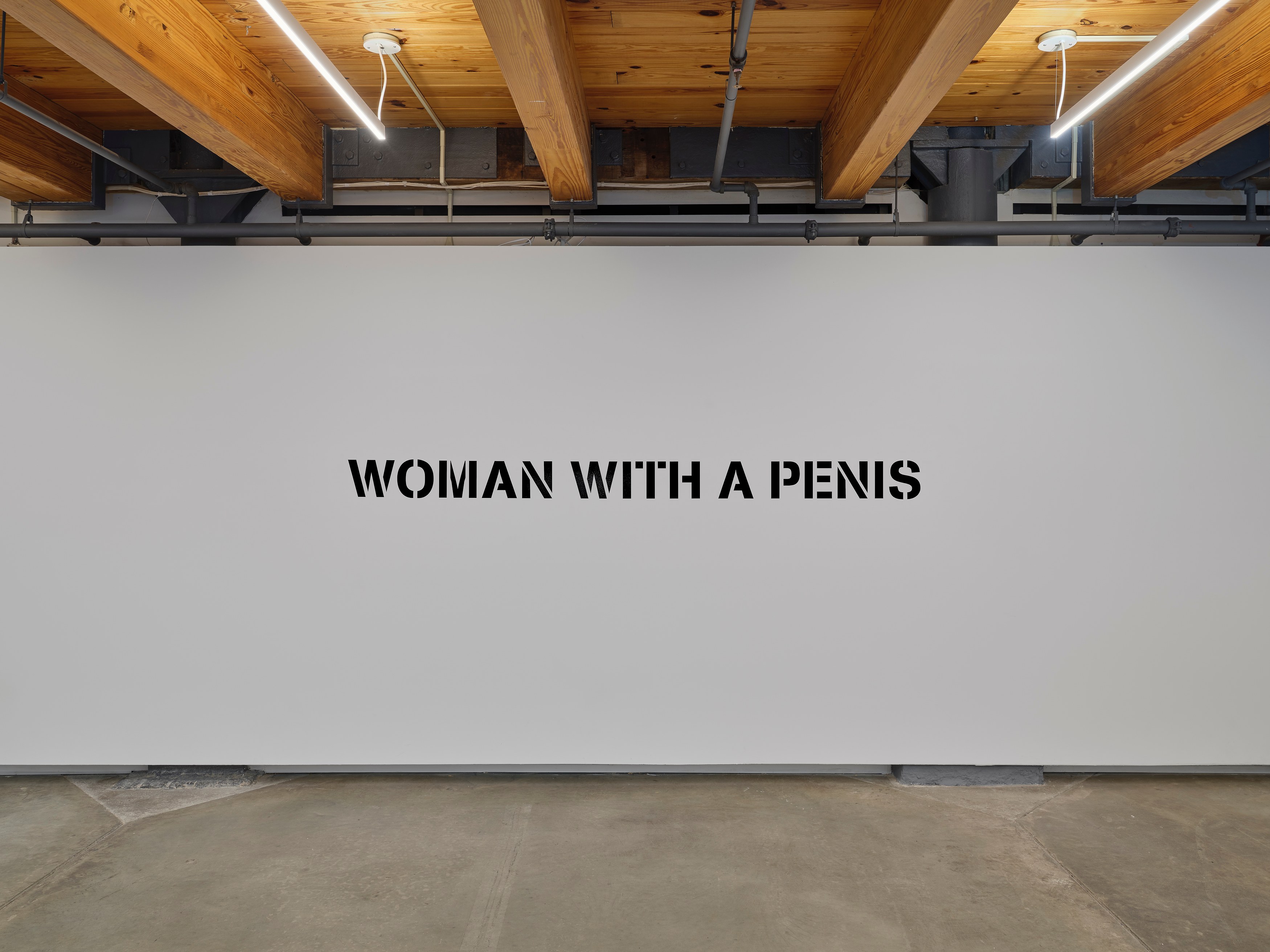 The Ecology Of Visibility, The Ecology Of Visibility at anonymous gallery, photo 9