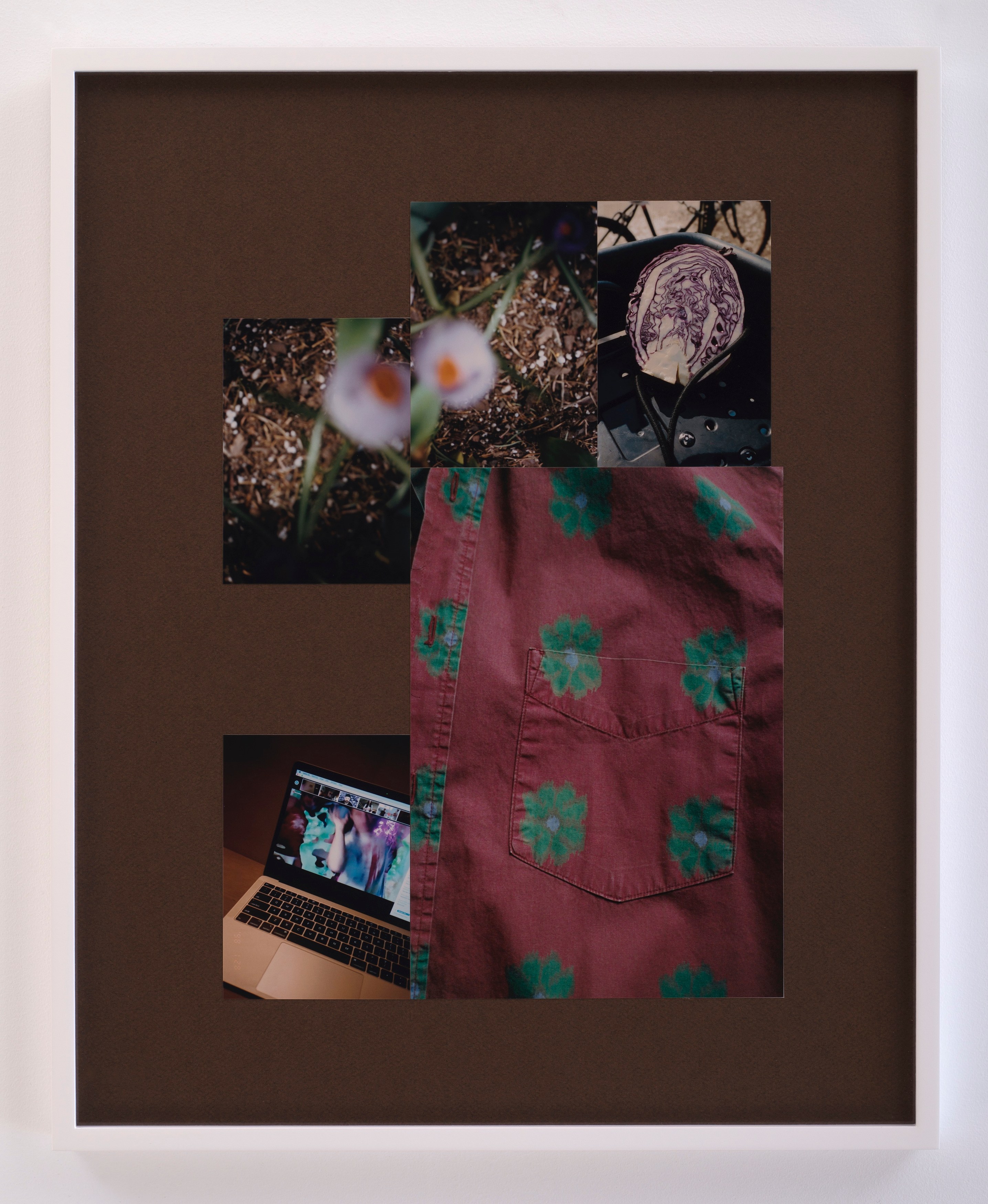 The Ecology Of Visibility, The Ecology Of Visibility at anonymous gallery, photo 16
