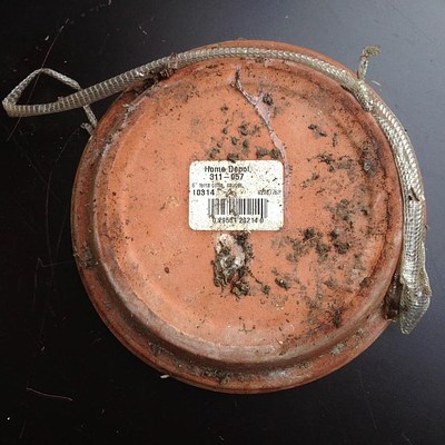 Image 19 of 21