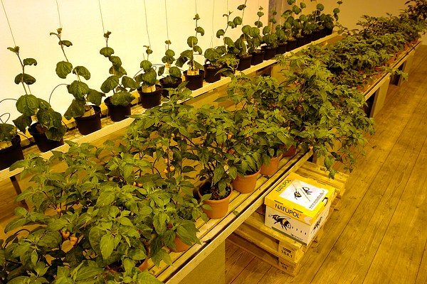 Image 8 of 22